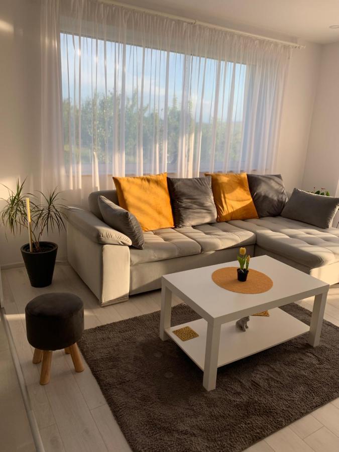 Вилла Viktoria House Одорхею-Секуйеск Экстерьер фото