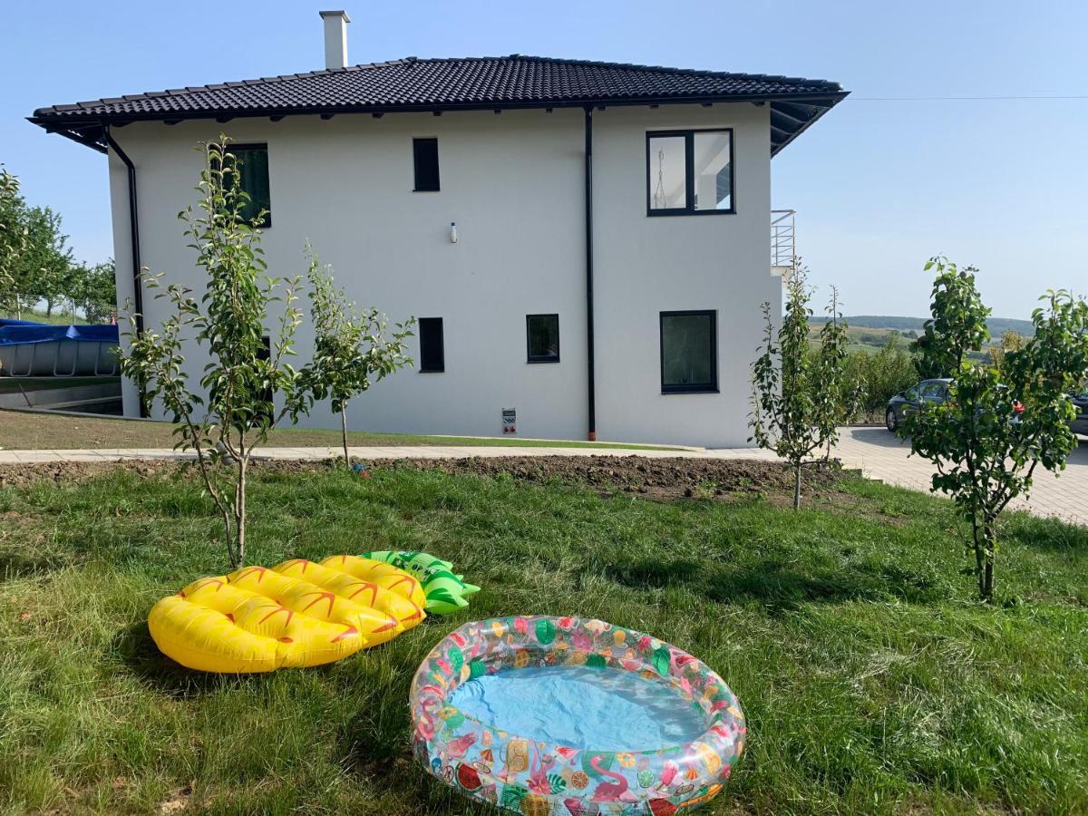 Вилла Viktoria House Одорхею-Секуйеск Экстерьер фото