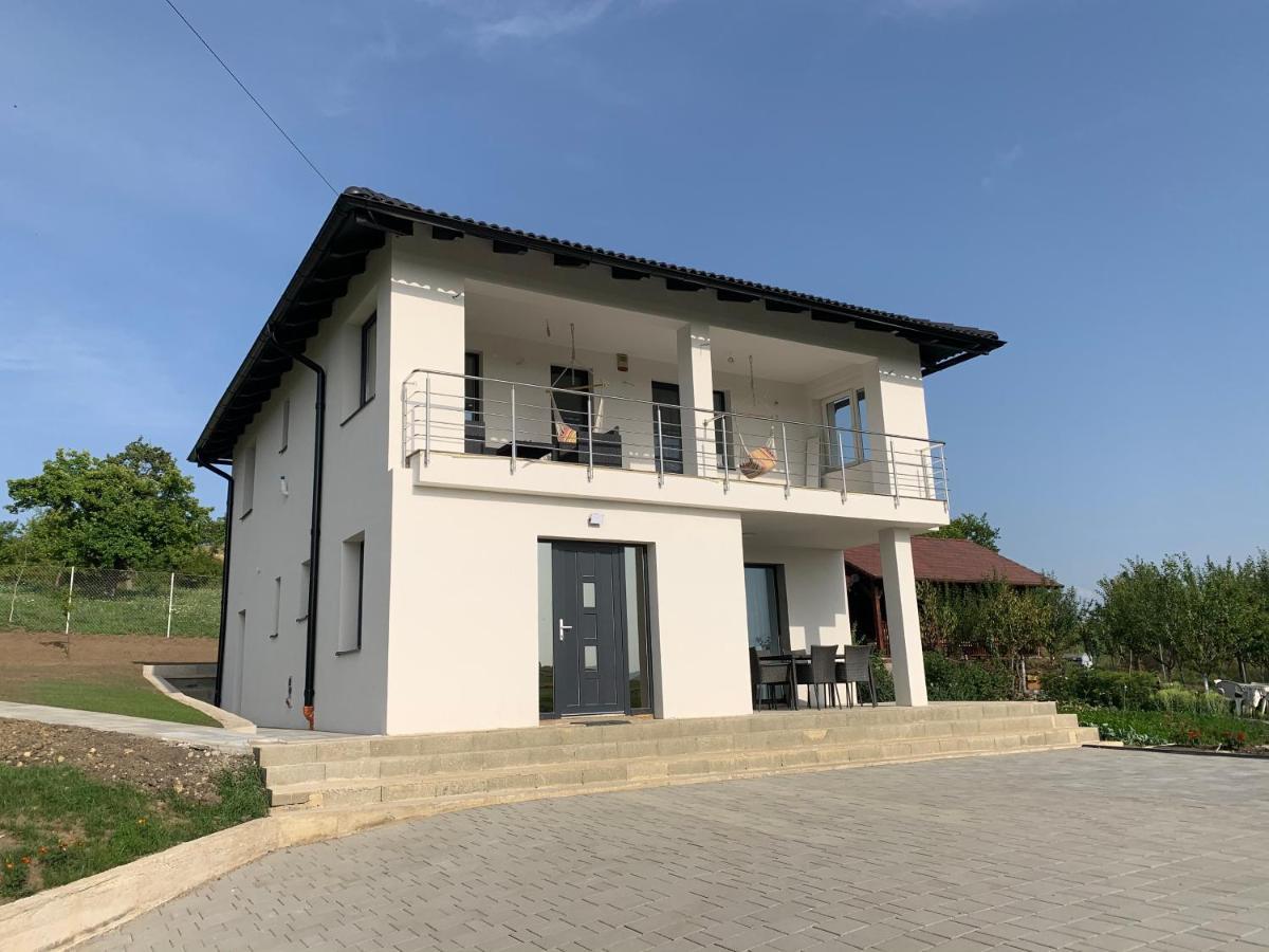 Вилла Viktoria House Одорхею-Секуйеск Экстерьер фото