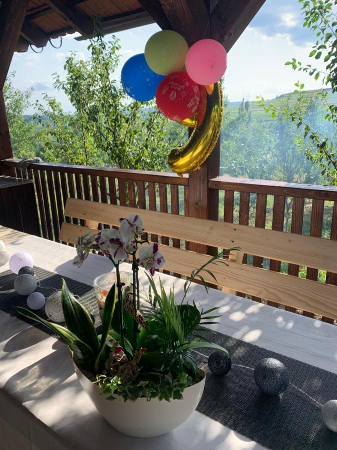 Вилла Viktoria House Одорхею-Секуйеск Экстерьер фото