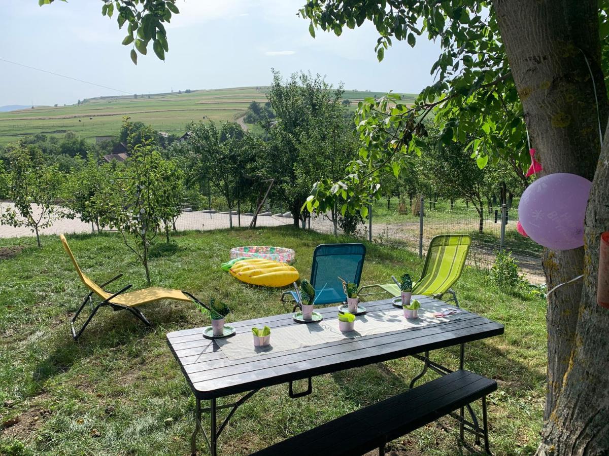 Вилла Viktoria House Одорхею-Секуйеск Экстерьер фото