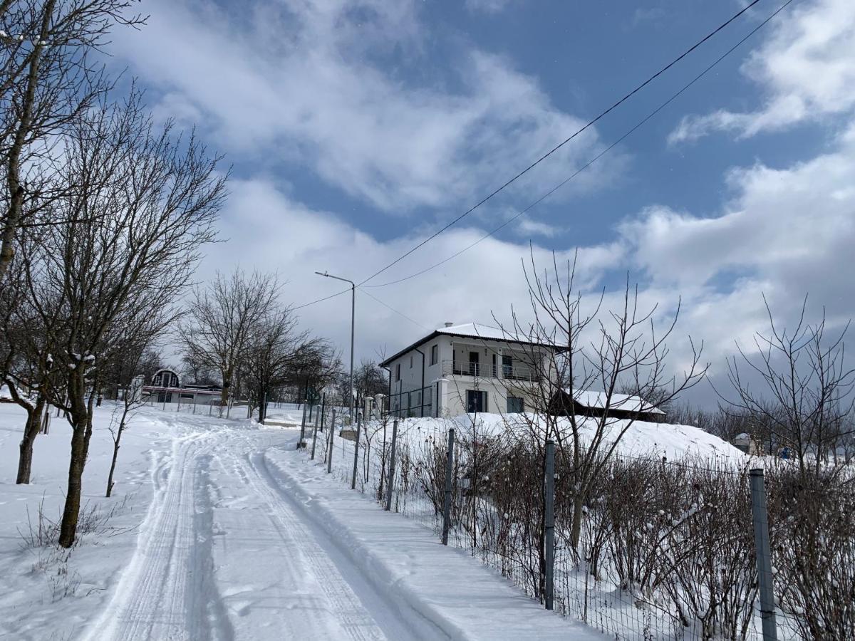 Вилла Viktoria House Одорхею-Секуйеск Экстерьер фото