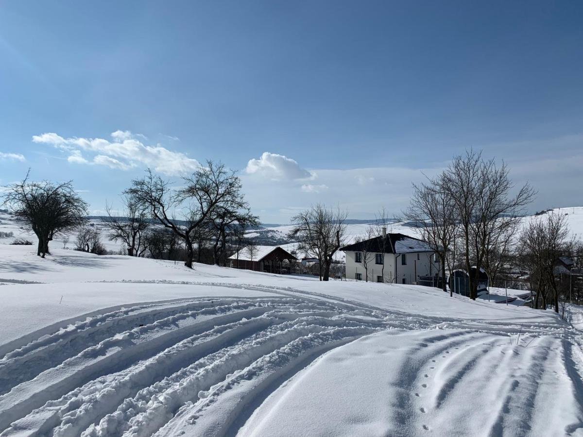 Вилла Viktoria House Одорхею-Секуйеск Экстерьер фото