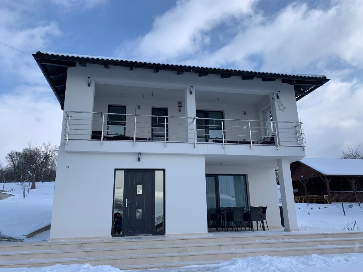 Вилла Viktoria House Одорхею-Секуйеск Экстерьер фото