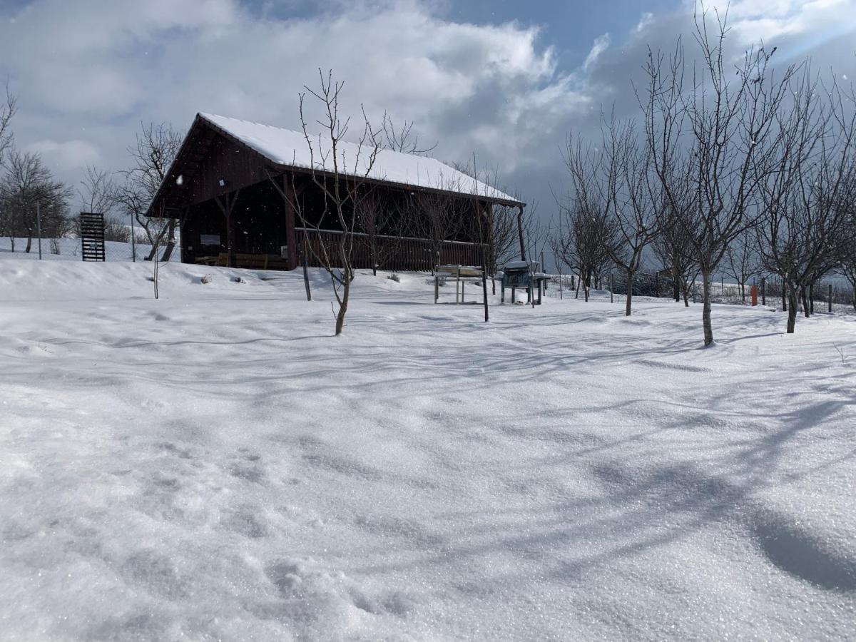 Вилла Viktoria House Одорхею-Секуйеск Экстерьер фото